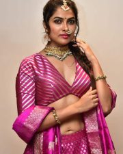 Actress Divi Vadthya at Rudrangi Pre Release Event Pictures 10