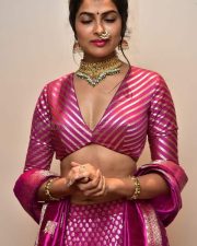 Actress Divi Vadthya at Rudrangi Pre Release Event Pictures 11