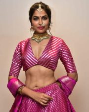 Actress Divi Vadthya at Rudrangi Pre Release Event Pictures 13