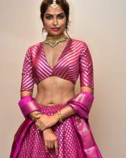 Actress Divi Vadthya at Rudrangi Pre Release Event Pictures 14