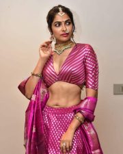 Actress Divi Vadthya at Rudrangi Pre Release Event Pictures 16