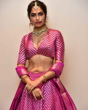Actress Divi Vadthya at Rudrangi Pre Release Event Pictures 20