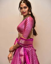 Actress Divi Vadthya at Rudrangi Pre Release Event Pictures 21