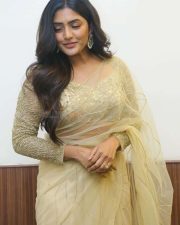 Actress Eesha Rebba at Maama Mascheendra Pre Release Event Pictures 21