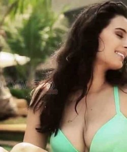 Actress Evelyn Sharma Hot Bikini Photos