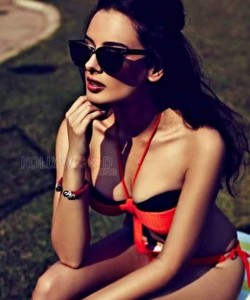 Actress Evelyn Sharma Hot Bikini Photos