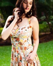 Actress Evelyn Sharma New Photos