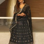 Hebah Patel 31 Actress Hebah Patel At Kisses Pre Release Event Photos