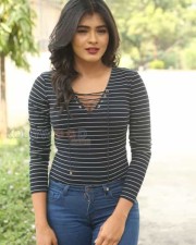 Hebah Patel 56 Actress Hebah Patel Latest Photos