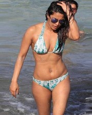 Actress Priyanka Chopra Birthday Special Photos