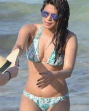 Actress Priyanka Chopra Hot Sexy Pictures