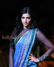 Actress Shruti Haasan Photos