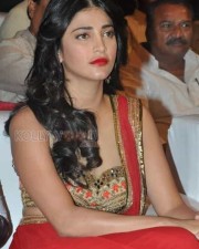 Actress Shruti Haasan Pics