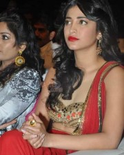 Actress Shruti Haasan Pics