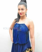 Actress Shruti Haasan Sexy Pics