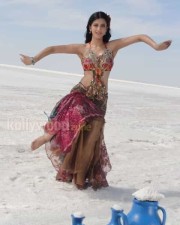 Actress Sruthi Hassan Sexy Photos