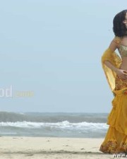 Actress Sruthi Hassan Sexy Photos