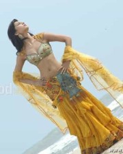 Actress Sruthi Hassan Sexy Photos