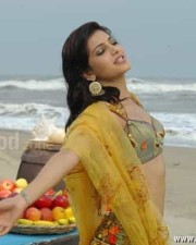 Actress Sruthi Hassan Sexy Photos