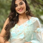 Stefy Patel 44 Actress Stefy Patel At Ninnu Thalachi Movie Press Meet Photos