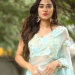 Stefy Patel 43 Actress Stefy Patel At Ninnu Thalachi Movie Press Meet Photos