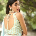 Stefy Patel 35 Actress Stefy Patel At Ninnu Thalachi Movie Press Meet Photos