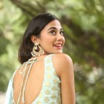 Stefy Patel 34 Actress Stefy Patel At Ninnu Thalachi Movie Press Meet Photos