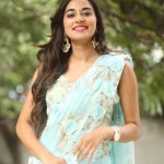 Stefy Patel 30 Actress Stefy Patel At Ninnu Thalachi Movie Press Meet Photos