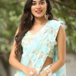 Stefy Patel 29 Actress Stefy Patel At Ninnu Thalachi Movie Press Meet Photos