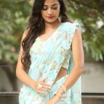 Stefy Patel 28 Actress Stefy Patel At Ninnu Thalachi Movie Press Meet Photos