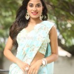 Stefy Patel 26 Actress Stefy Patel At Ninnu Thalachi Movie Press Meet Photos