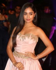Actress Tridha Choudhury At Zee Apsara Awards Photos