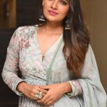 Vani Bhojan 21 Actress Vani Bhojan At Meeku Maathrame Cheptha Pre release Event Photos