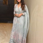 Vani Bhojan 20 Actress Vani Bhojan At Meeku Maathrame Cheptha Pre release Event Photos