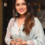 Vani Bhojan 18 Actress Vani Bhojan At Meeku Maathrame Cheptha Pre release Event Photos