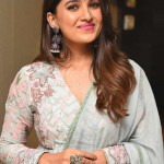 Vani Bhojan 17 Actress Vani Bhojan At Meeku Maathrame Cheptha Pre release Event Photos