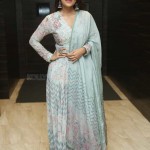 Vani Bhojan 13 Actress Vani Bhojan At Meeku Maathrame Cheptha Pre release Event Photos