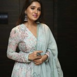 Vani Bhojan 12 Actress Vani Bhojan At Meeku Maathrame Cheptha Pre release Event Photos