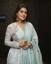 Actress Vani Bhojan At Meeku Maathrame Cheptha Pre release Event Photos