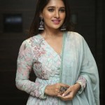 Vani Bhojan 10 Actress Vani Bhojan At Meeku Maathrame Cheptha Pre release Event Photos