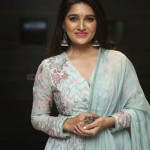 Vani Bhojan 9 Actress Vani Bhojan At Meeku Maathrame Cheptha Pre release Event Photos