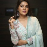 Vani Bhojan 7 Actress Vani Bhojan At Meeku Maathrame Cheptha Pre release Event Photos