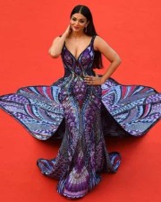 Aishwarya Rai At Cannes  Photos