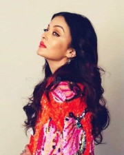 Aishwarya Rai At Cannes  Photos