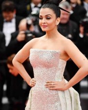 Aishwarya Rai At Cannes  Photos