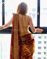 Alluring Actress Himani Sharma in a Red and Gold Brocade Outfit Photos 03