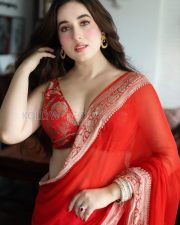 Alluring Aditi Budhathoki Cleavage in a Red Banarasi Saree Photos 02