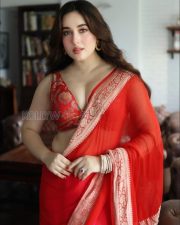 Alluring Aditi Budhathoki Cleavage in a Red Banarasi Saree Photos 04