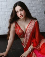 Alluring Aditi Budhathoki Cleavage in a Red Banarasi Saree Photos 06
