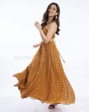 Barkha Singh in a Chocolate Dress Photo 01 Barkha Singh in a Chocolate Dress Photo 01
